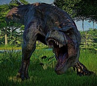 Rex
