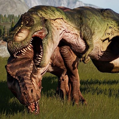 2 rex