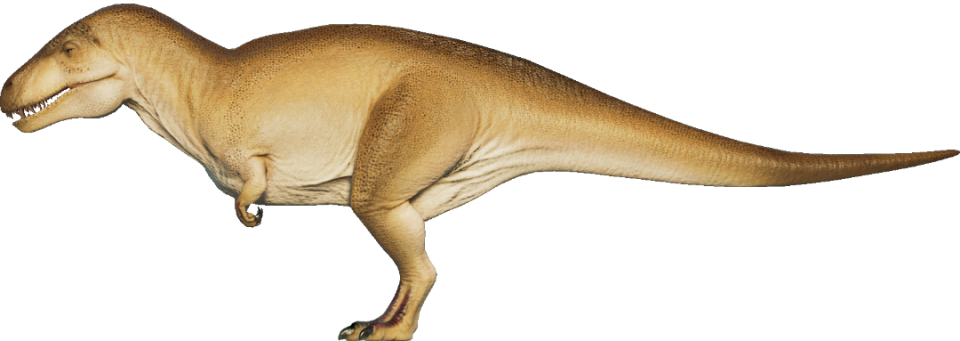 Acrocantossauro